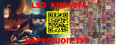 круглые Лесосибирск