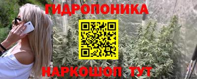 шишки Ливны