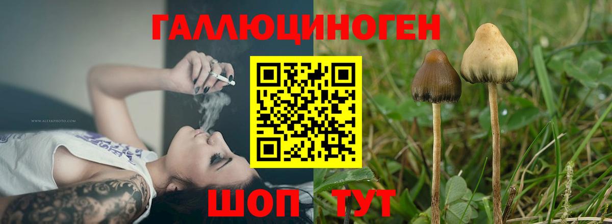Волжск  Псилоцибиновые грибы Cubensis  магазин продажи наркотиков  Вход с VPN 